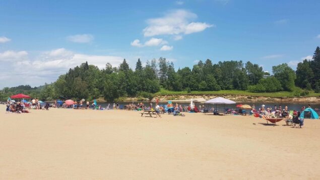 Camping Domaine des Cèdres Camping Domaine des Cèdres